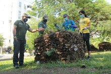 Llega &lsquo;Flora en tu Comuna&rsquo; para continuar embelleciendo a Cali