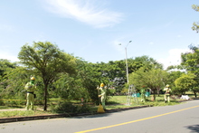 Llega &lsquo;Flora en tu Comuna&rsquo; para continuar embelleciendo a Cali