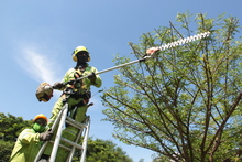 Llega &lsquo;Flora en tu Comuna&rsquo; para continuar embelleciendo a Cali