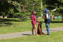 Llega &lsquo;Flora en tu Comuna&rsquo; para continuar embelleciendo a Cali