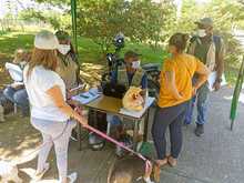 Llega &lsquo;Flora en tu Comuna&rsquo; para continuar embelleciendo a Cali
