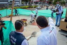 Escenarios de la Unidad Jaime Aparicio ultiman detalles para los I Juegos Panamericanos Junior  