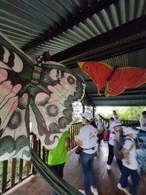 Ni&ntilde;os con discapacidad auditiva se &lsquo;turistearon&rsquo; a Cali