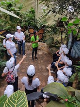 Ni&ntilde;os con discapacidad auditiva se &lsquo;turistearon&rsquo; a Cali