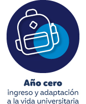 &Iacute;cono ano cero