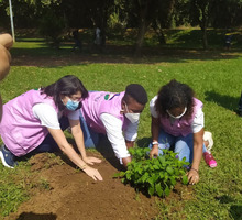 Las mujeres se tomaron el Parque de El Ingenio para sembrar vida