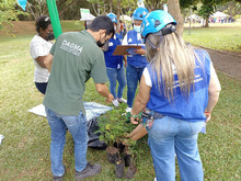 Las mujeres se tomaron el Parque de El Ingenio para sembrar vida