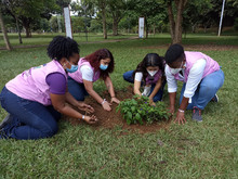 Las mujeres se tomaron el Parque de El Ingenio para sembrar vida
