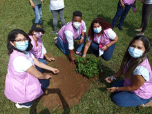 Las mujeres se tomaron el Parque de El Ingenio para sembrar vida
