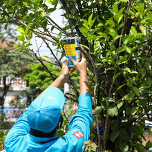 En el oriente de Cali se adelanta un nuevo m&eacute;todo para prevenir el dengue