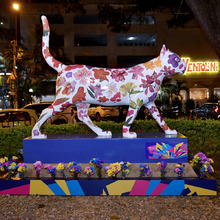 La &lsquo;Gata Florecida Panamericana&rsquo; de Cali ya enamora al mundo