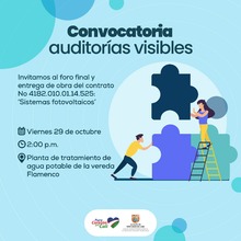 Convocatoria a Auditor&iacute;a Visible en Flamenco