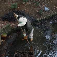 Dagma realiza mantenimiento a los humedales de la ciudad  