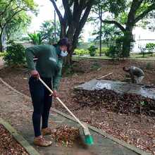 Dagma realiza mantenimiento a los humedales de la ciudad  