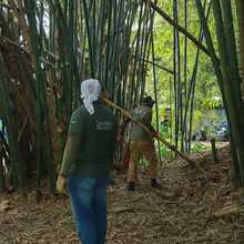 Dagma realiza mantenimiento a los humedales de la ciudad  