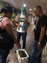 Con obra de teatro, Dagma concientiza sobre tr&aacute;fico de fauna silvestre