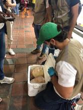 Con obra de teatro, Dagma concientiza sobre tr&aacute;fico de fauna silvestre