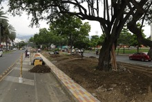 Separadores viales enlucir&aacute;n a Cali con mayor funcionalidad