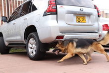 De cara a los Panamericanos Junior, se desarroll&oacute; con &eacute;xito simulacro de amenaza terrorista