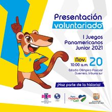 En los Juegos Panamericanos, &lsquo;Pana&rsquo; no ser&aacute; un &lsquo;Cusumbo solo&rsquo;