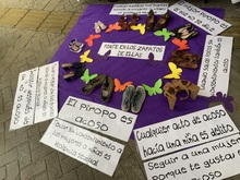 &iexcl;Festivales sin violencias de g&eacute;nero!