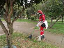 M&aacute;s de 700 participantes presentes en &ldquo;Cari&ntilde;o a la Calle&rdquo;