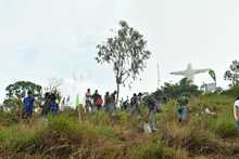 Bosque panamericano se crea gracias a programa de compensaciones  