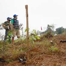 Bosque panamericano se crea gracias a programa de compensaciones  