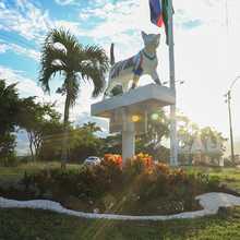 Embellecimiento de la ciudad para los Juegos Panamericanos