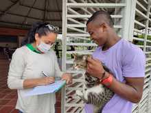 Alcald&iacute;a llega con brigadas de salud animal a los barrios de Cali