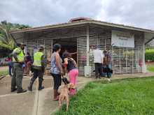 Alcald&iacute;a llega con brigadas de salud animal a los barrios de Cali