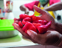 As&iacute; fue el proceso de recuperaci&oacute;n de Memoria Cultural en el Distrito de Aguablanca