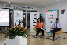 &iexcl;PAREMOS YA las violencias contra las mujeres!