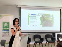 Reconocimiento para el Dagma en el Pacto intersectorial por la madera legal