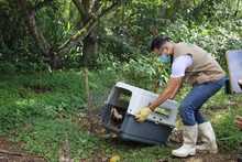 Nuevas liberaciones de fauna silvestre en Coraz&oacute;n de Pance  