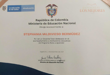 Reconocimiento nacional a iniciativa de docente cale&ntilde;a