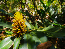 Parque Ambiental Coraz&oacute;n de Pance