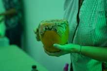 Santiago de Cali ya est&aacute; en la ruta de la econom&iacute;a circular