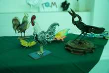 Santiago de Cali ya est&aacute; en la ruta de la econom&iacute;a circular