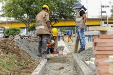 Enlucimiento de separadores viales avanza en un 75 %