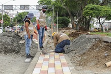 Enlucimiento de separadores viales avanza en un 75 %
