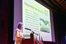 M&aacute;s all&aacute; del tratamiento, la atenci&oacute;n debe considerar las necesidades emocionales del paciente