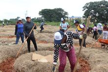 Recoges lo que siembras, proyectos que se construyen con la comunidad