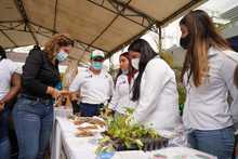 Cali Distrito Verde, una apuesta ambiental desde el territorio