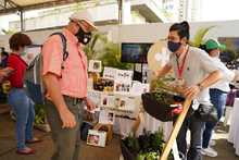 Cali Distrito Verde, una apuesta ambiental desde el territorio