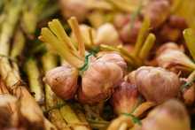 Cali Distrito Verde, una apuesta ambiental desde el territorio