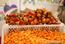 Cali Distrito Verde, una apuesta ambiental desde el territorio