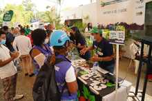 Cali Distrito Verde, una apuesta ambiental desde el territorio
