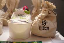 Cali Distrito Verde, una apuesta ambiental desde el territorio