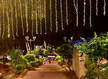 Un &lsquo;borondo&rsquo; por el Alumbrado Navide&ntilde;o Te Queremos Cali